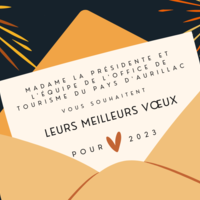 Carte voeux RS (1)